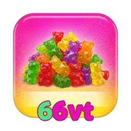 66vt
