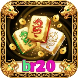 br20